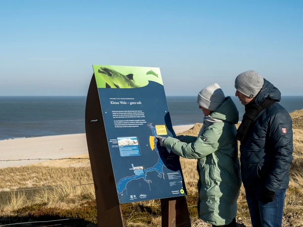 Infotafel zum Walschutzgebiet am Lister Ellenbogenberg