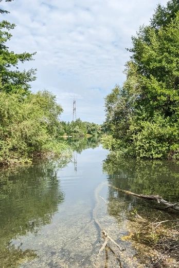 Gewässer im Waldhägenich