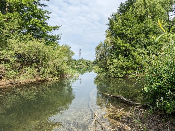Gewässer im Waldhägenich