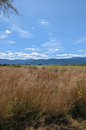 Im Waldhägenich - Blick zum Gebirge