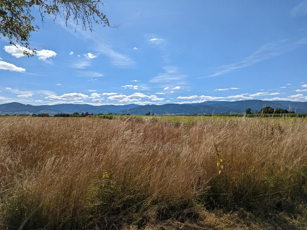 Im Waldhägenich - Blick zum Gebirge