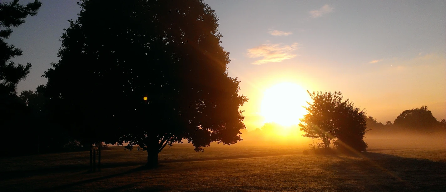 Terrainkurweg Bad Zwesten