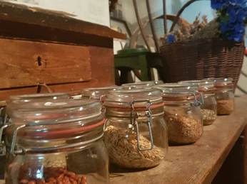 Mühlenmuseum©Dorothée Meyer (46).jpg