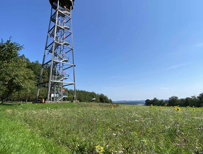 Vogteiturm in Loßburg