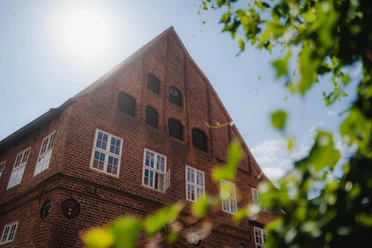 Brömsehaus in Lüneburg Historisches Brömsehaus mit Giebel und weißen Fenstern hinter grünen Blättern.