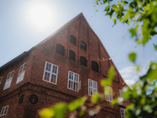 Brömsehaus in Lüneburg Historisches Brömsehaus mit Giebel und weißen Fenstern hinter grünen Blättern.