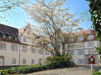 Landgrafenschloss Rotenburg