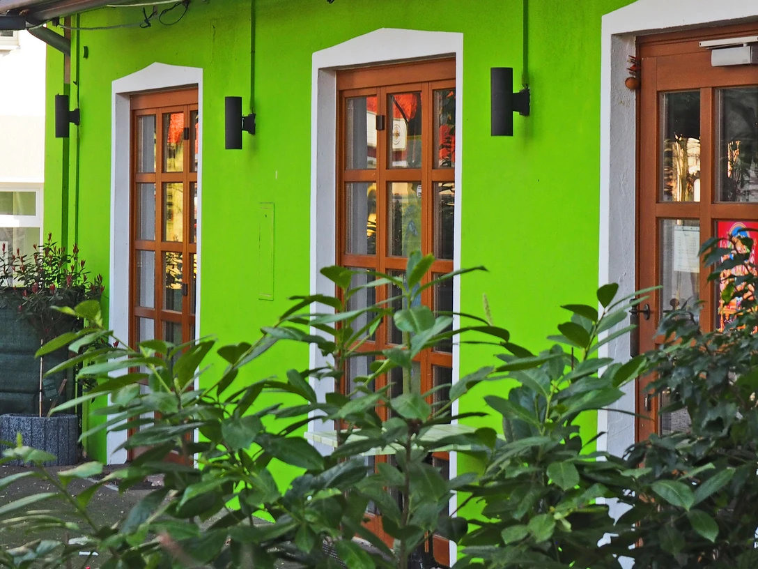 Grüne Hausfassade mit drei Holzfenstern, umgeben von Pflanzen; moderner, urbaner Stil.