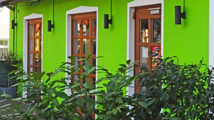 Goa Curry Grüne Hausfassade mit drei Holzfenstern, umgeben von Pflanzen; moderner, urbaner Stil.