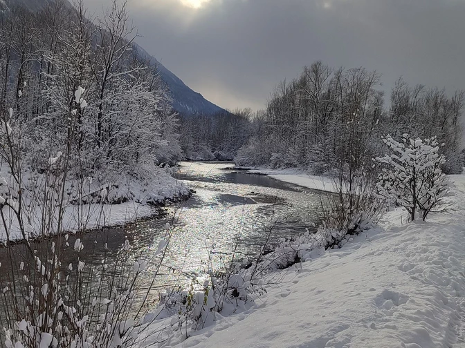 Moosgarten-Rundweg - Winter