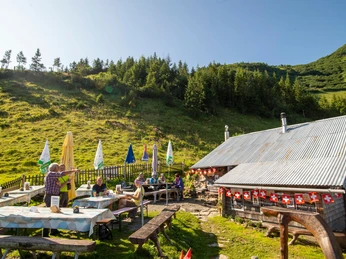 Photokleinformat 3_2-Alp Obsaum (5).jpg