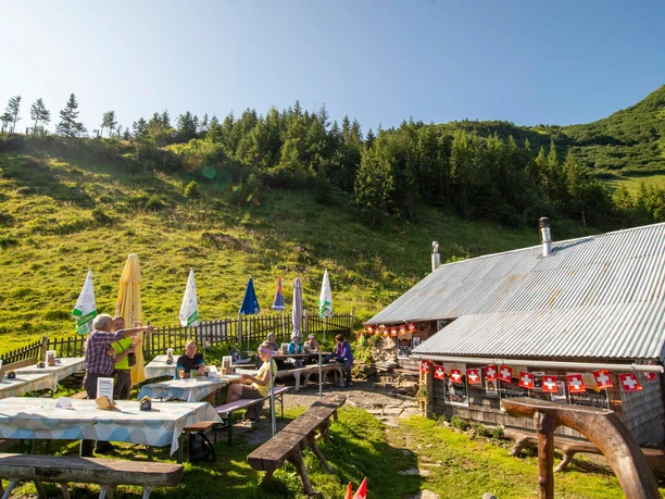 Photokleinformat 3_2-Alp Obsaum (5).jpg