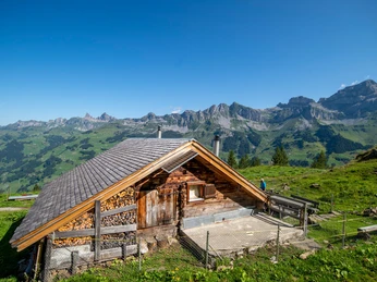 Photokleinformat 3_2-Alp Obsaum (1).jpg