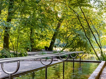 Ein grüner Park mit einem Kneippbecken im Vordergrund und Bäumen im Hintergrund bei sonnigem Wetter.