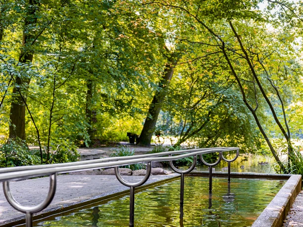 Ein grüner Park mit einem Kneippbecken im Vordergrund und Bäumen im Hintergrund bei sonnigem Wetter.