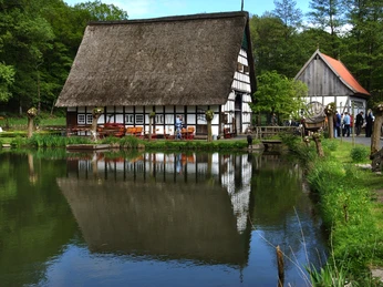 11.Rürupsmühle.jpg Ein traditionelles Fachwerkhaus mit Reetdach spiegelt sich in einem ruhigen Teich, umgeben von Bäumen.