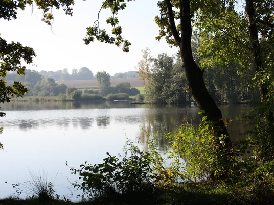 Blick über einen ruhigen See, gesäumt von Bäumen, im Hintergrund sanfte Hügel unter klarem Himmel.