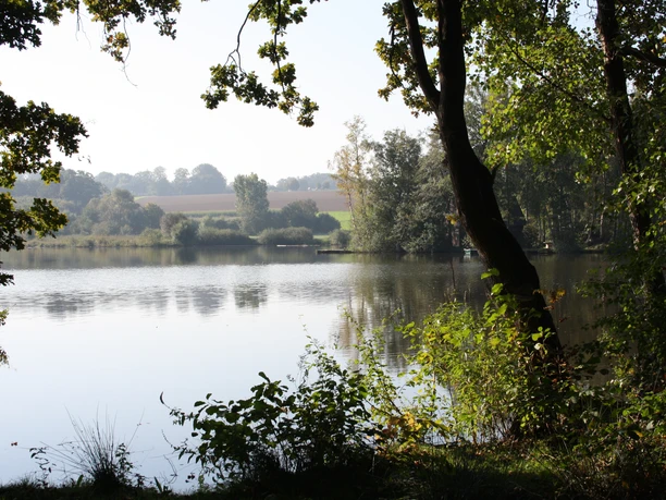 7-hücker-moor-b.jpg Blick über einen ruhigen See, gesäumt von Bäumen, im Hintergrund sanfte Hügel unter klarem Himmel.