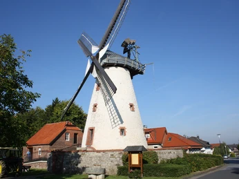 Historische Windmühle mit weißen Mauern und schwarzen Flügeln vor blauem Himmel und rotem Dach.