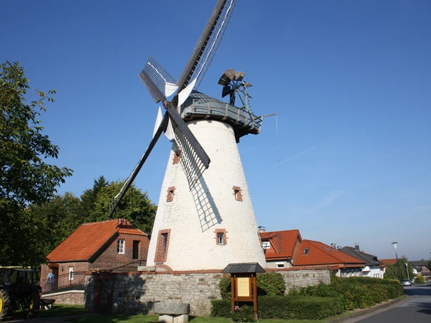 Historische Windmühle mit weißen Mauern und schwarzen Flügeln vor blauem Himmel und rotem Dach.