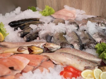 Forellenhof Schönwag