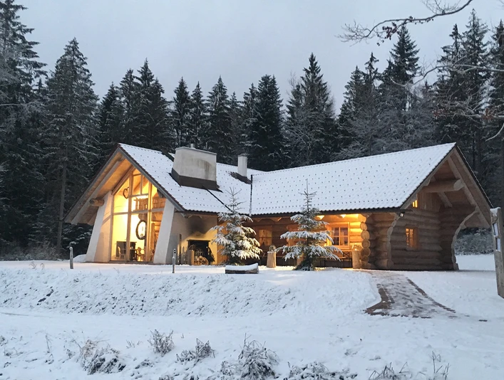 Tannenstub im Winter