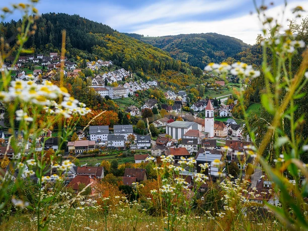 Blick auf Ottenhöfen im Schwarzwald mit der Katholischen Kirche