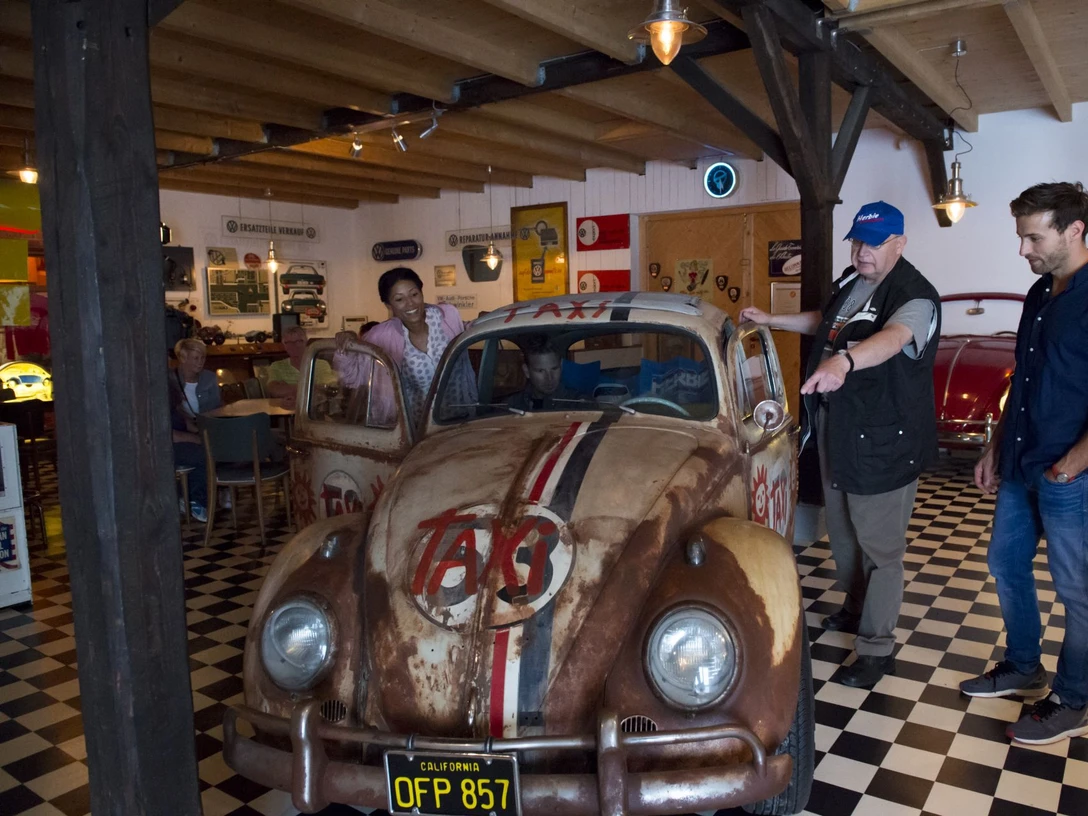 Grundmann Käfer Sammlung Grundmann Käfer Sammlung