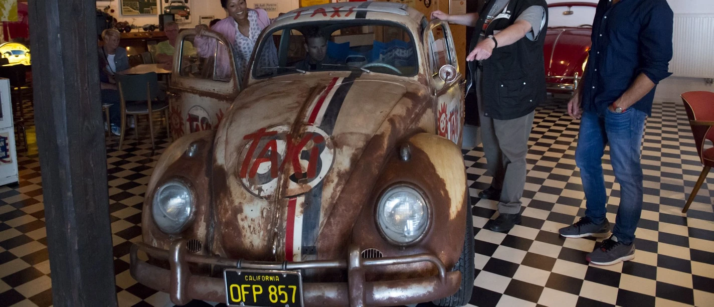 Grundmann Käfer Sammlung Grundmann Käfer Sammlung