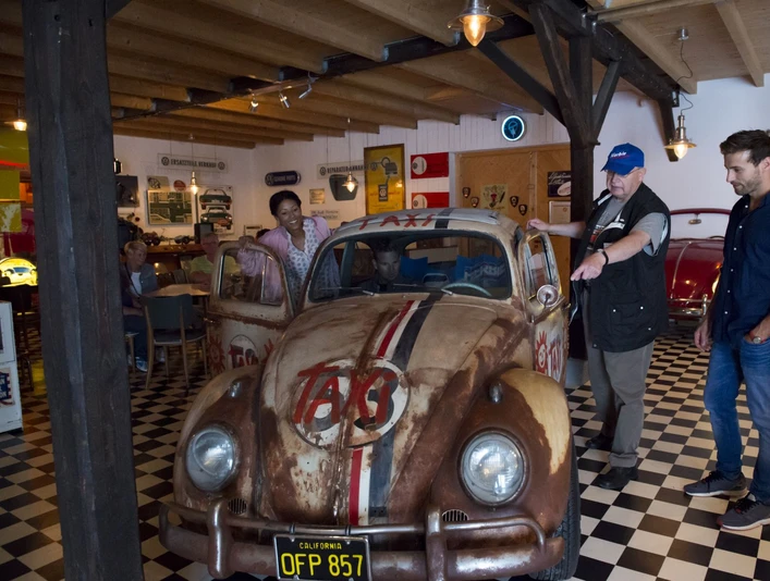 Grundmann Käfer Sammlung Grundmann Käfer Sammlung