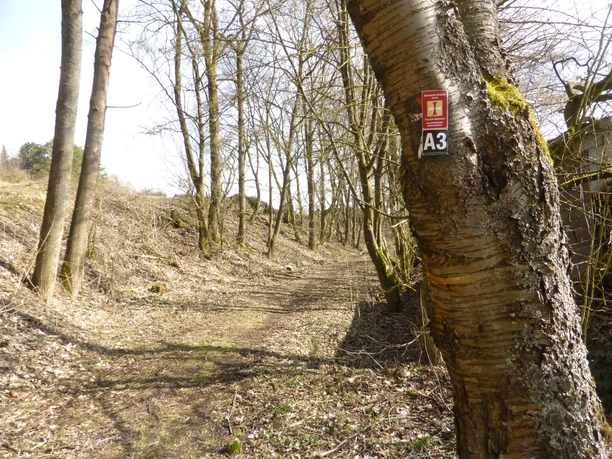 Weddelbergrundweg A3