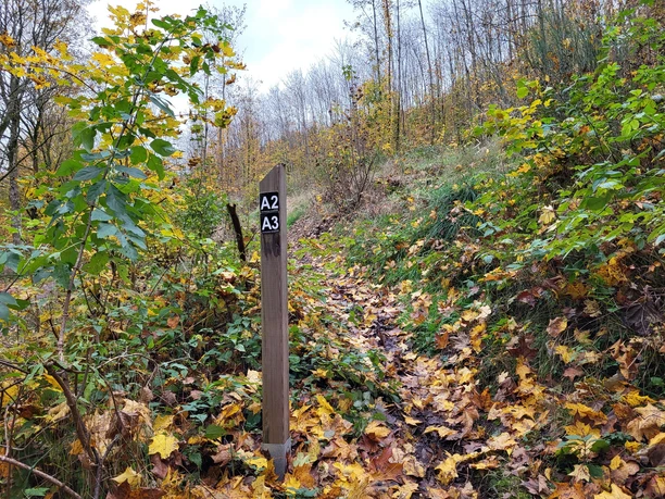 Wandern auf den Weddelbergrundwegen