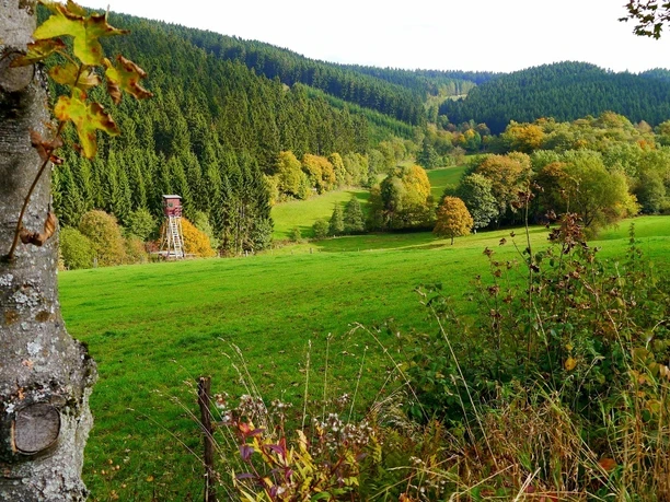 Sorpetal unterhalb Wildewiese