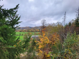 Ausblick vom Hasenkammerblick / Weddelberg