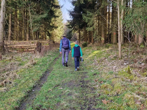 Impression Wanderung am Vogelsang bei Meschede