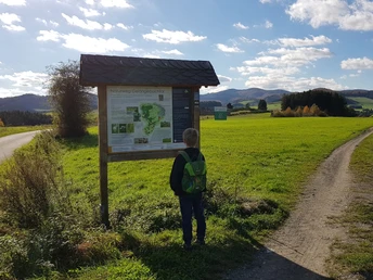 Infotafel des Naturerlebniswegs Gelängebachtal in Medebach