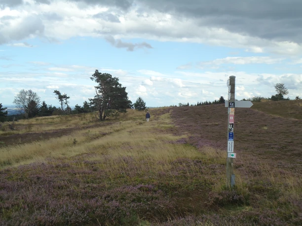 Wanderpfosten auf dem Rundweg