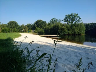 IMG_20190730_091343.jpg