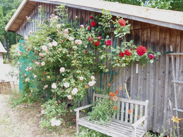 Eine von vielen Sitzgelegenheiten im Ferienhaus Reethuus Eine von vielen Sitzgelegenheiten im Ferienhaus Reethuus
