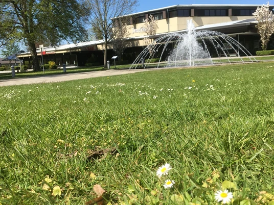 Stadthalle im Frühling in Osterode am Harz Stadthalle im Frühling in Osterode am Harz