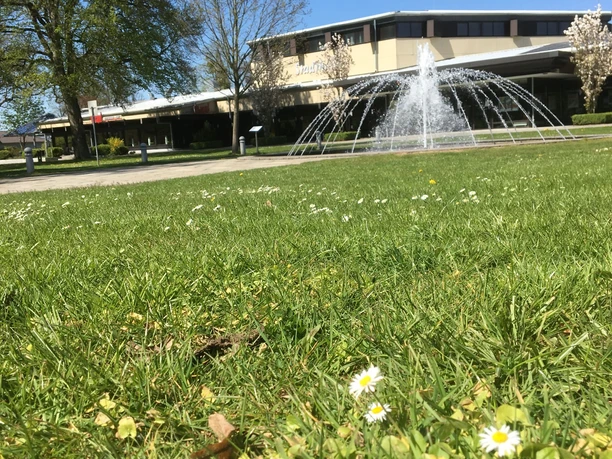 Stadthalle im Frühling in Osterode am Harz Stadthalle im Frühling in Osterode am Harz
