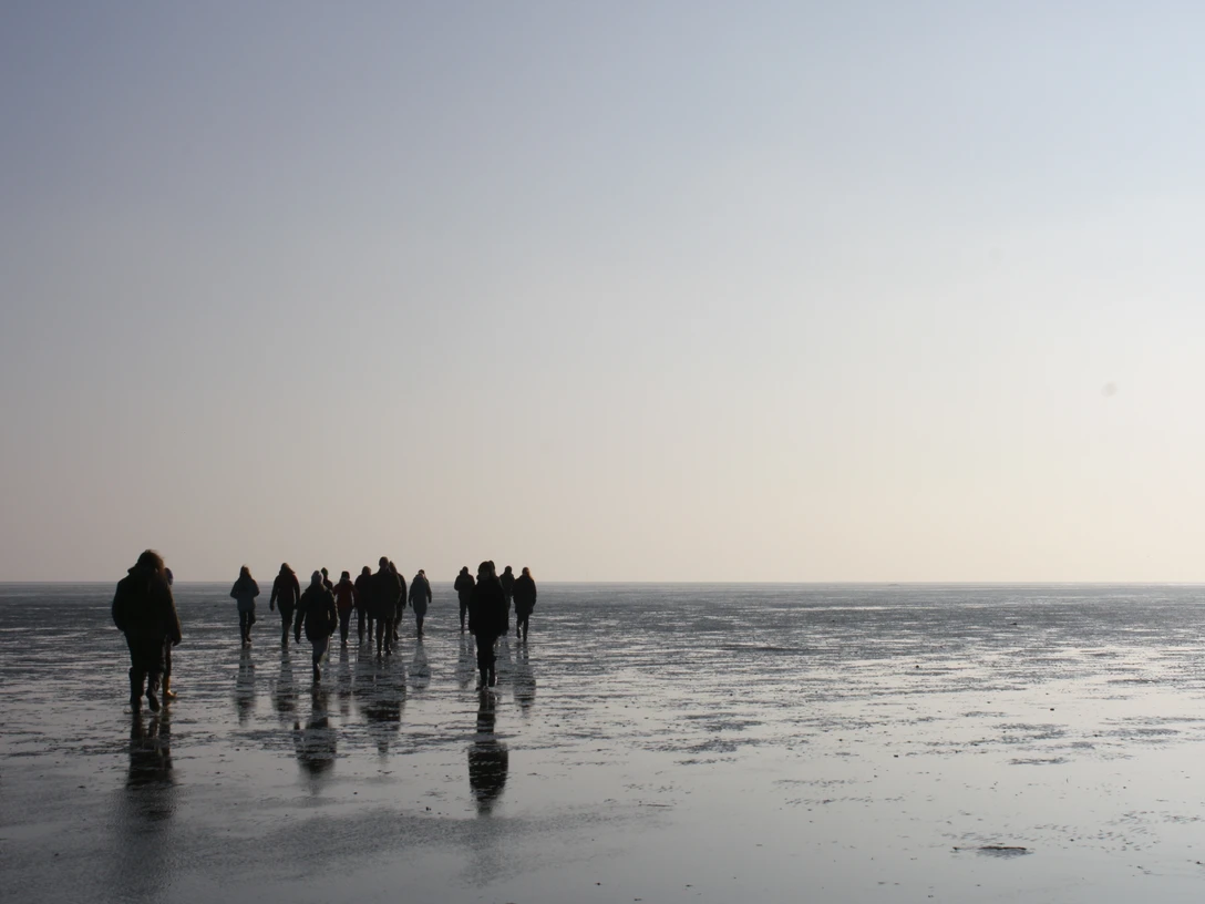 Stille im Watt Wattwanderung