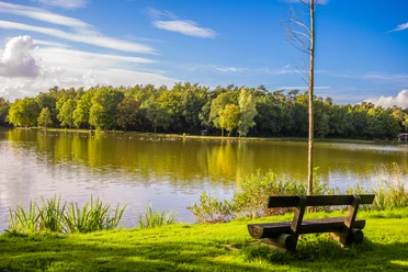 Ausblick Saller See Ausblick Saller See