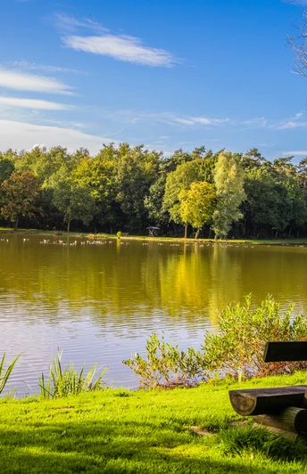 Ausblick Saller See Ausblick Saller See