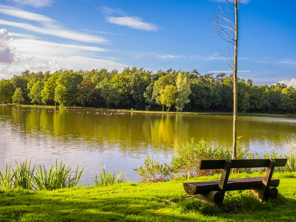 Ausblick Saller See Ausblick Saller See