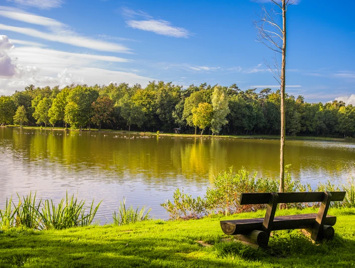Ausblick Saller See Ausblick Saller See