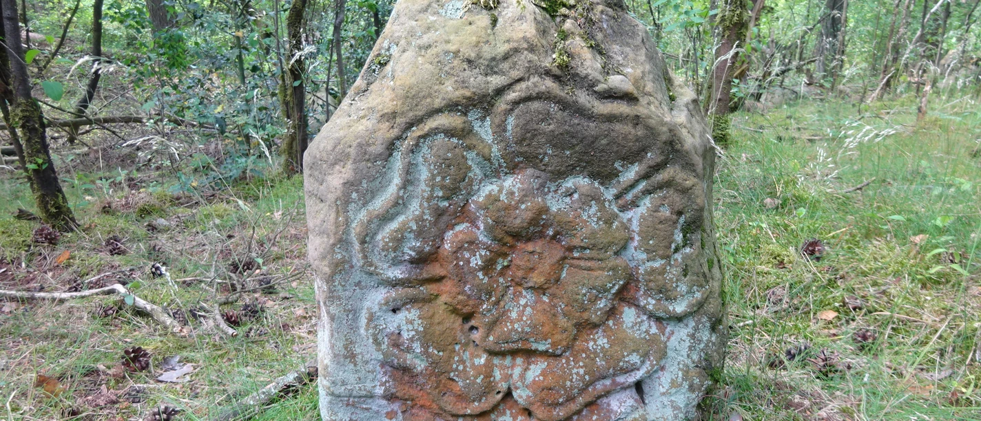 Grenzstein im Wald mit verblasster Inschrift und floralem Muster, von Moos und Flechten bewachsen.