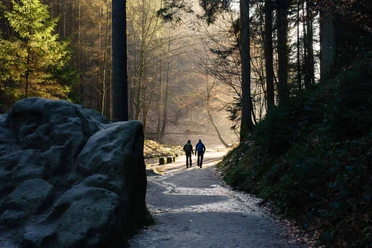 Amselgrund im Kurort Rathen Zwei Personen wandern auf einem Waldweg, umgeben von hohen Bäumen und Felsen, im sanften Licht der Morgensonne.