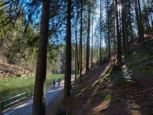 Amselgrund Ein Paar spaziert auf einem Waldweg entlang eines Flusses, umgeben von hohen Bäumen, während die Sonne durch die Äste scheint.