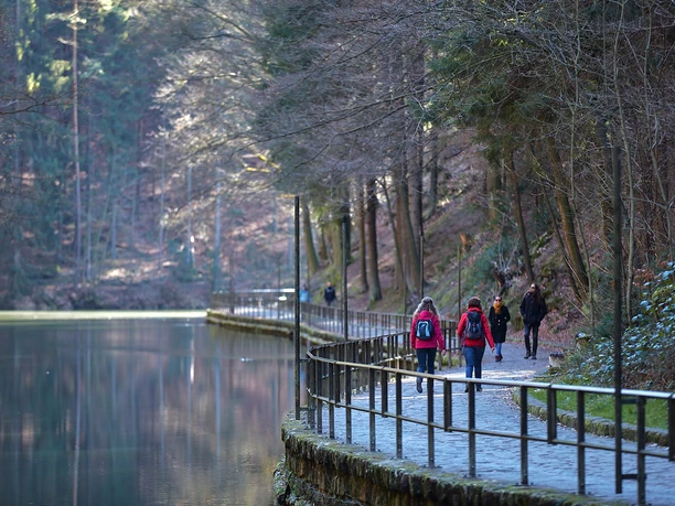 Amselgrund im Kurort Rathen